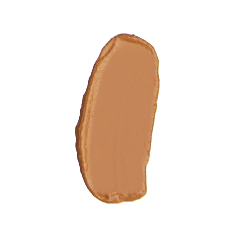 Anne T. Dote Tinted Moisturizer C6