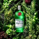 Tanqueray London Dry Gin