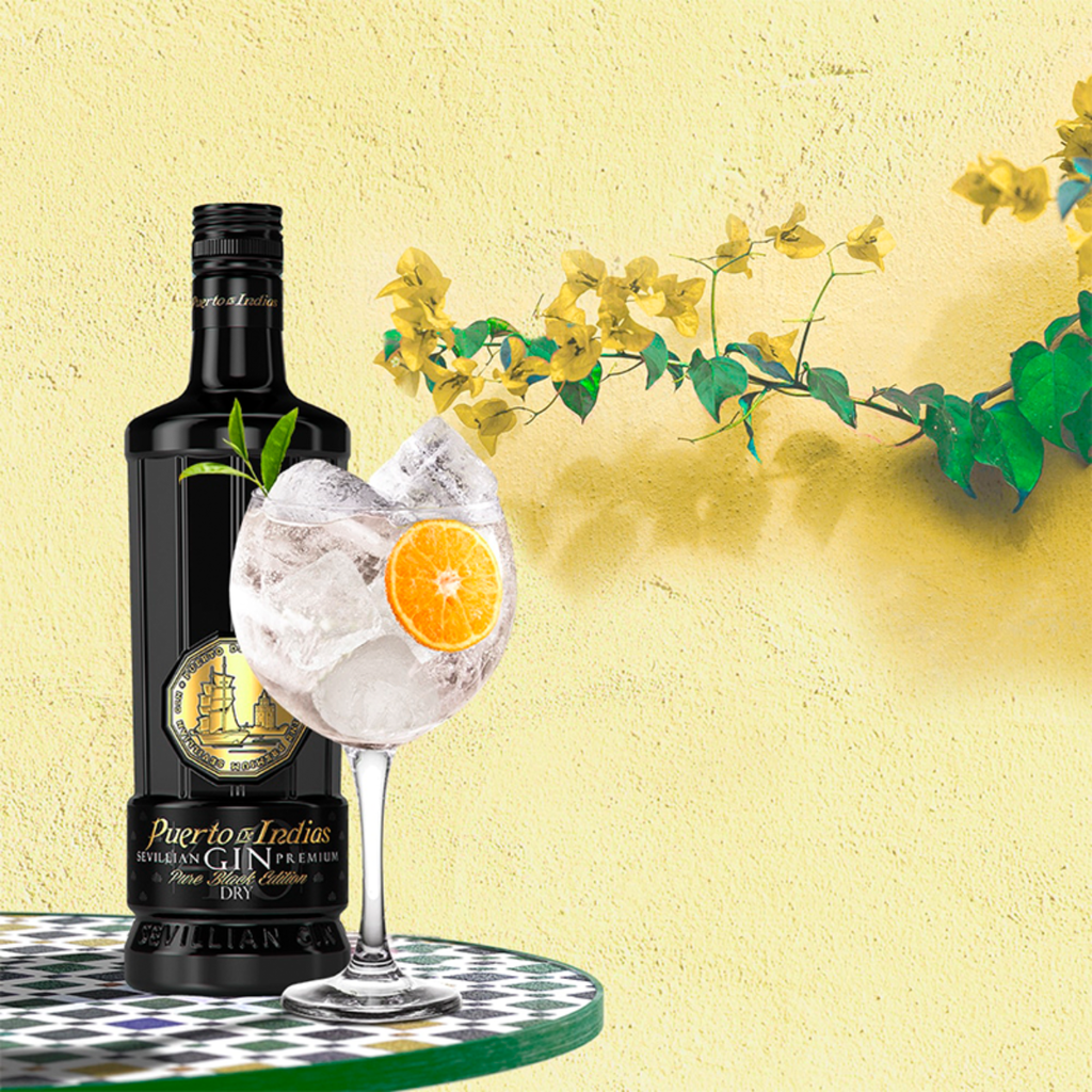 Puerto de Indias Gin Pure Black