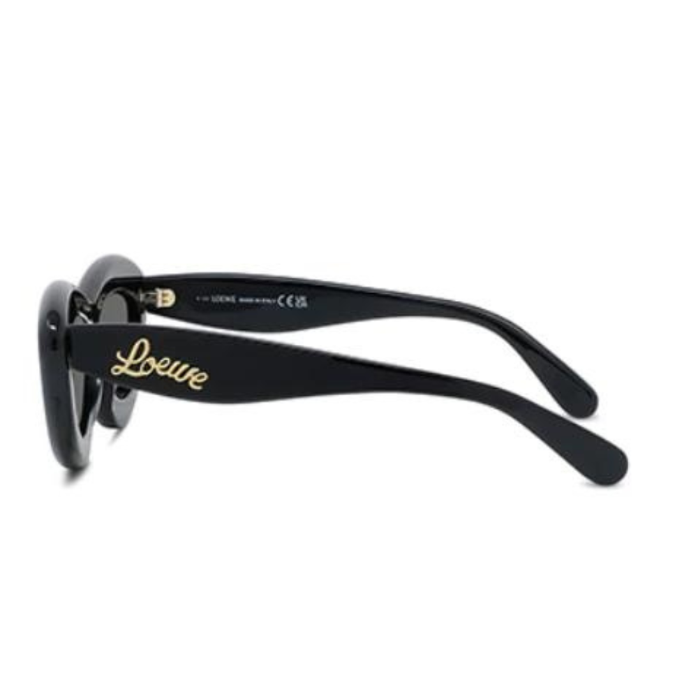 Loewe Sunglasses LW40096I Curvy